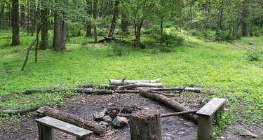 Adirondack Shelters