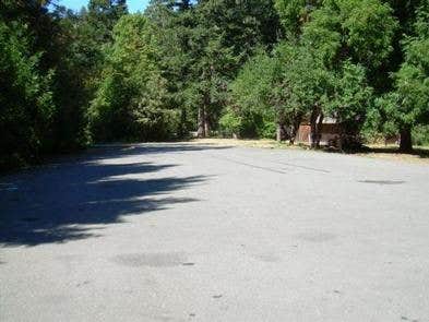 Camper submitted image from Siskiyou National Forest Chinquapin Group Campground - 5