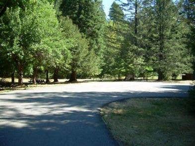 Camper submitted image from Siskiyou National Forest Chinquapin Group Campground - 1