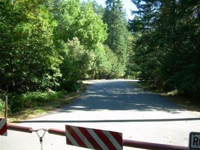 Camper submitted image from Siskiyou National Forest Chinquapin Group Campground - 2