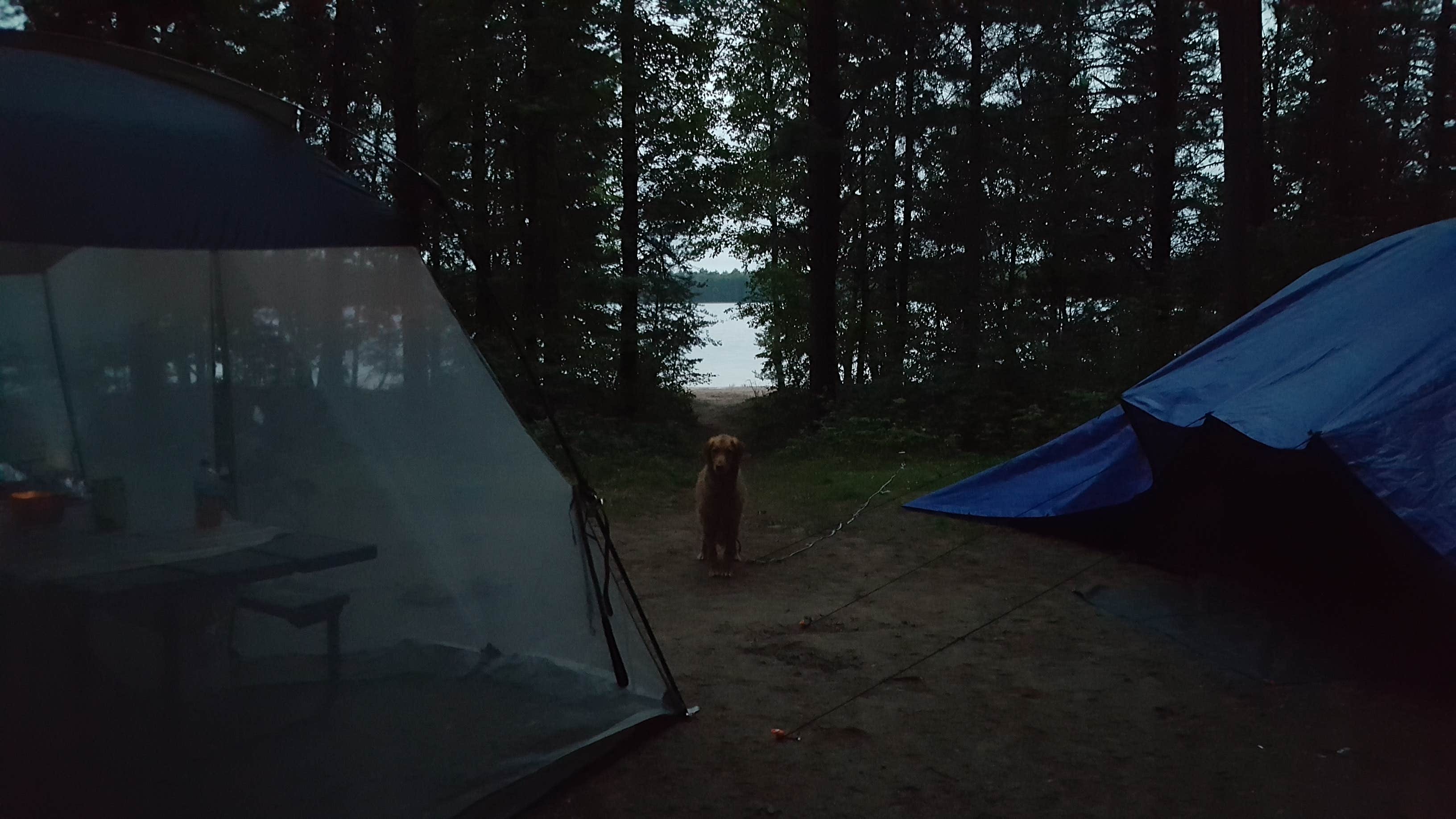 Camper submitted image from Musky Lake Campground — Northern Highland State Forest - 5