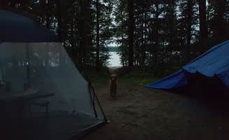 Adrienne L.'s photo at Musky Lake Campground — Northern Highland State Forest near Minocqua, WI