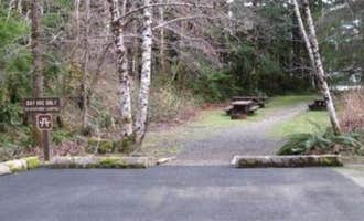 Camping near Willaby Campground: Coho Campground, Quinault, Washington