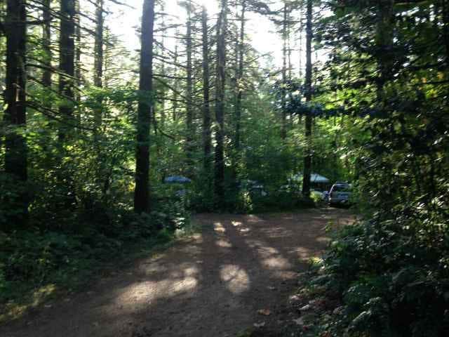 Camper-submitted photo at Big Fir Campground & RV Park near Woodland, WA