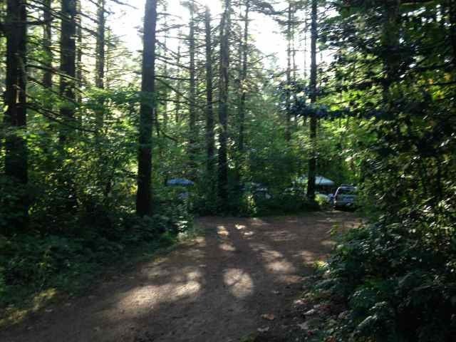 Camper submitted image from Big Fir Campground & RV Park - 2