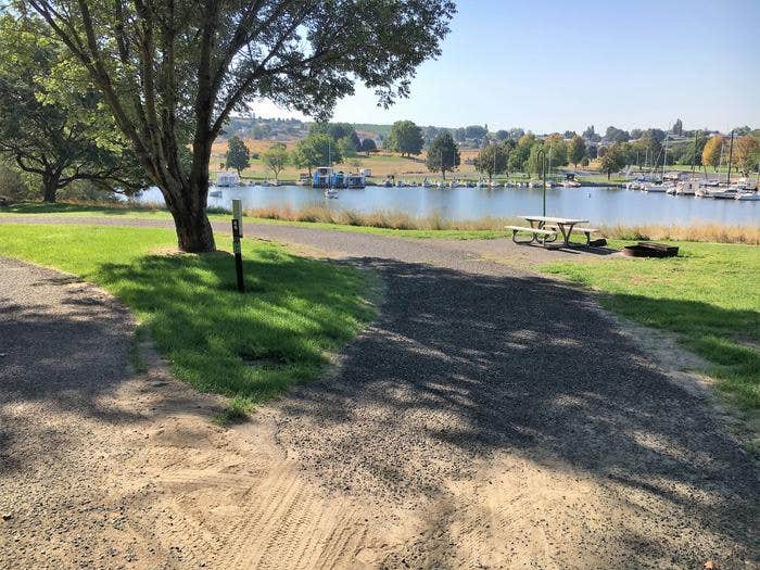 Camper submitted image from COE Lake Sacajawea Charbonneau Park - 1