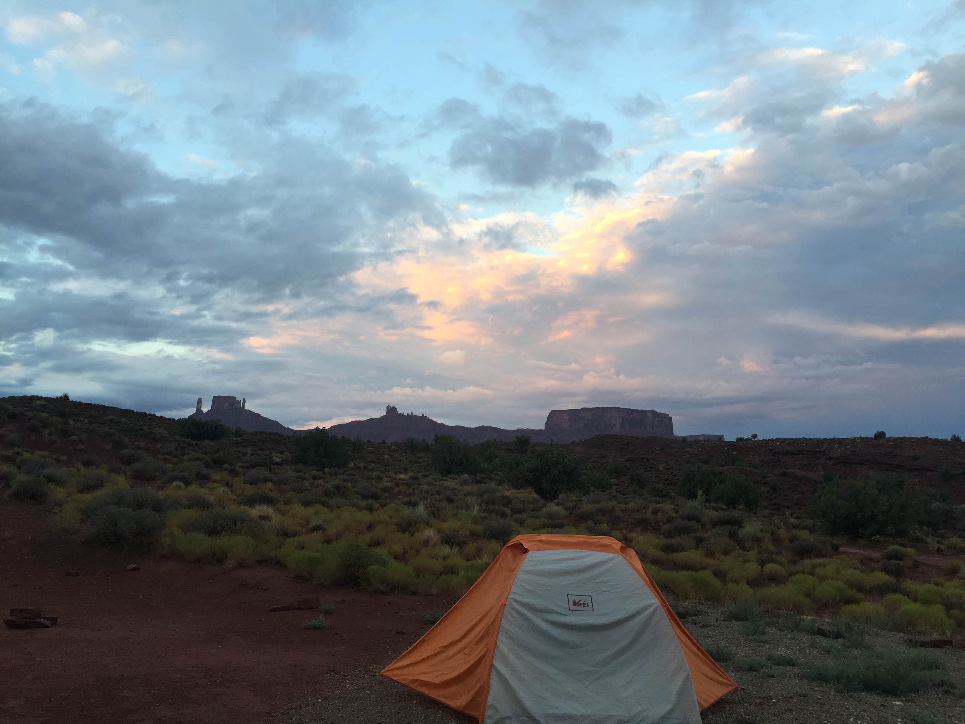 Camper submitted image from Lower Onion Creek Group Sites - 3