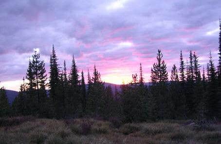 Camper-submitted photo at Liz Butte Cabin near Elk River, ID