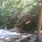 Review photo of Myrtle Beach State Park Campground by Andrew S., September 8, 2016