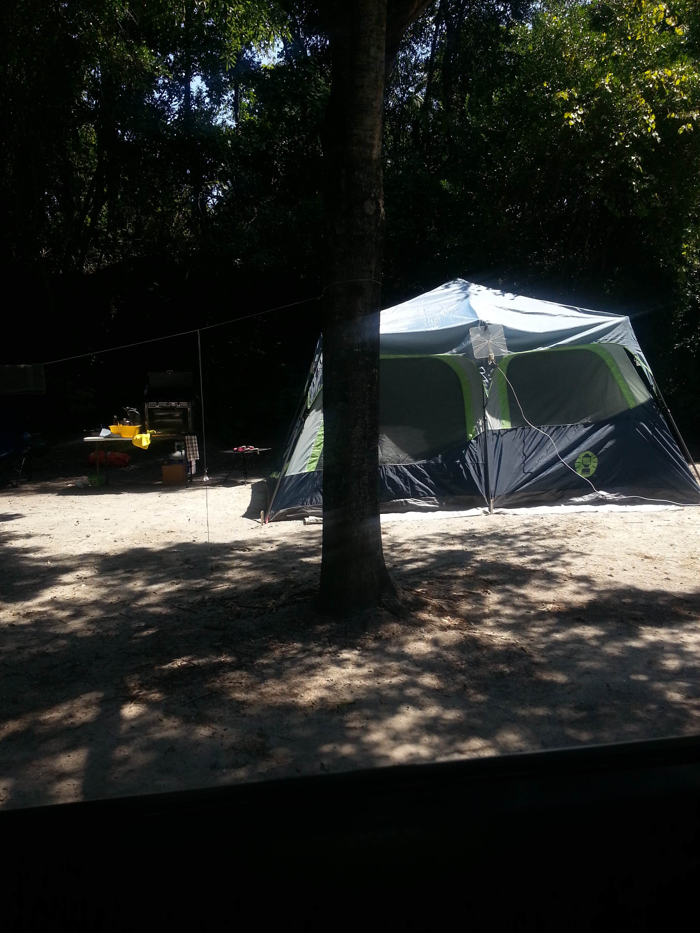 Camper submitted image from Myrtle Beach State Park Campground - 4