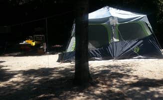 Andrew S.'s photo at Myrtle Beach State Park Campground near Myrtle Beach, SC