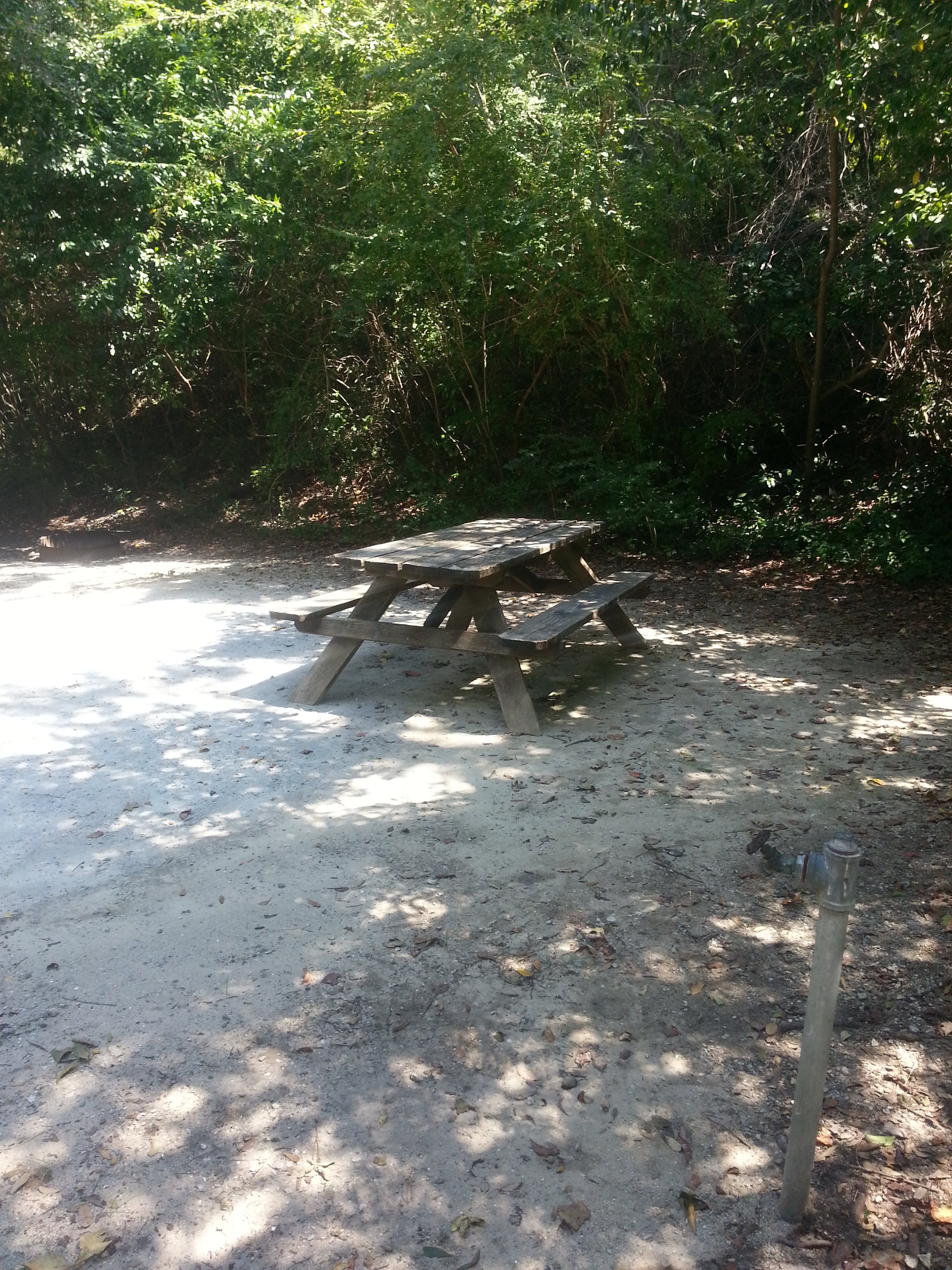 Camper submitted image from Myrtle Beach State Park Campground - 5