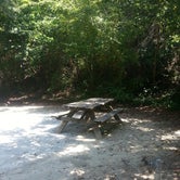 Review photo of Myrtle Beach State Park Campground by Andrew S., September 8, 2016