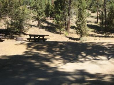 Camper submitted image from San Bernardino National Forest Wild Horse Equestrian Campground - 5