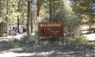 Camping near Green Spot Equestrian Campground: San Bernardino National Forest Wild Horse Equestrian Campground, Big Bear City, California