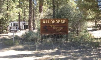 Camping near Coon Creek Yellow Post Sites: San Bernardino National Forest Wild Horse Equestrian Campground, Big Bear City, California