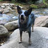 Review photo of Campton Campground by Molly G., September 8, 2016