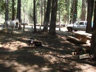 Camper submitted image from Horse Campground - 1