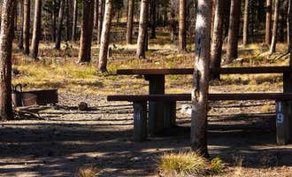 Camping near Perry's RV and Campgrounds: Cascade Campground-Custer National Forest, Red Lodge, Montana