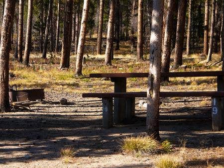 Camper submitted image from Cascade Campground-Custer National Forest - 1