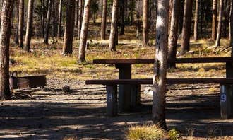 Camping near Horsethief Station: Cascade Campground-Custer National Forest, Red Lodge, Montana