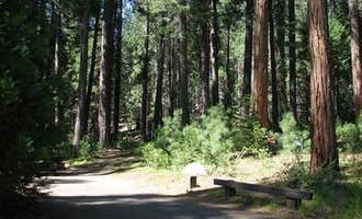 Camping near Hodgdon Meadow Campground — Yosemite National Park: Dimond O Campground, Mather, California