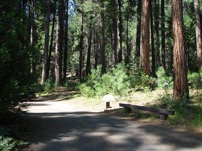 Camper submitted image from Dimond O Campground - 1