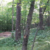 Review photo of Spirit Mountain Campground by Jason S., January 2, 2015