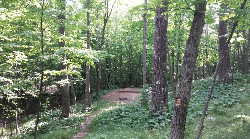 Camper submitted image from Spirit Mountain Campground - 2