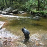 Review photo of Campton Campground by Molly G., September 8, 2016