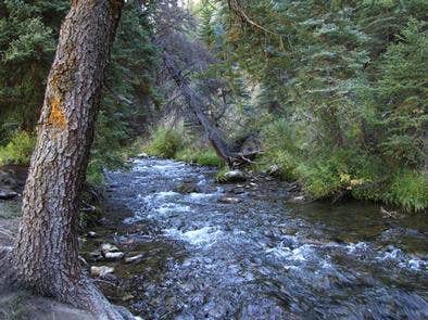 Camper submitted image from Manti-LaSal National Forest Big Rock Group Campground - 4