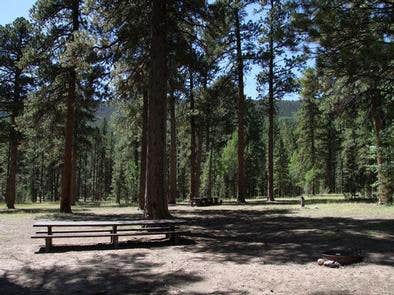 Camper submitted image from Ashley National Forest Uinta River Group Campground - 1