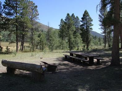 Camper submitted image from Ashley National Forest Uinta River Group Campground - 2