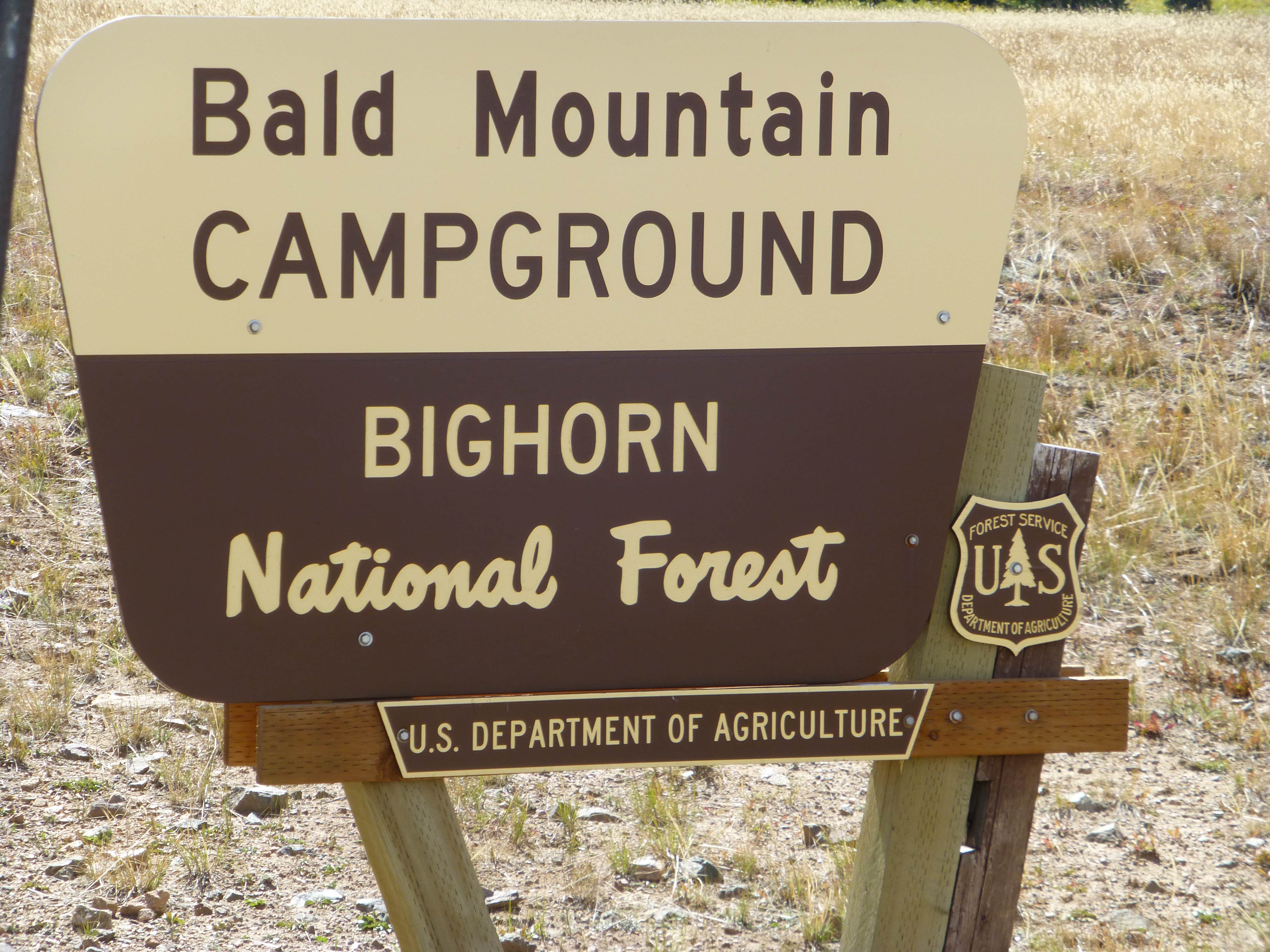 Escape to the Pines: Your Guide to Idaho's Bald Mountain Campground