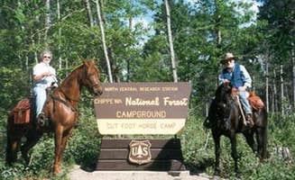 The Dyrt's photo of camping with a horse at Cut Foot Horse Campground near Wirt, MN