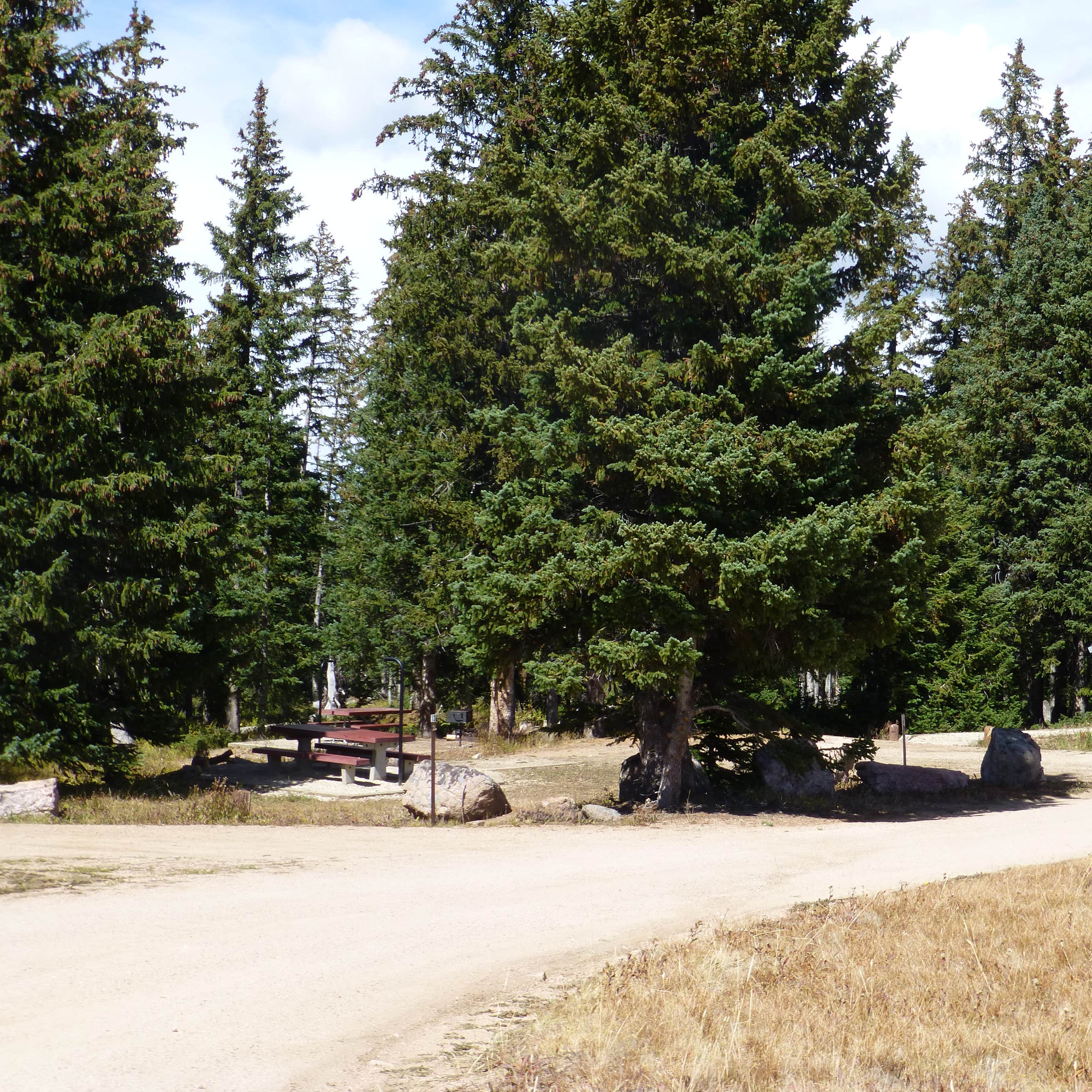 Bald Mountain Campground Camping The Dyrt