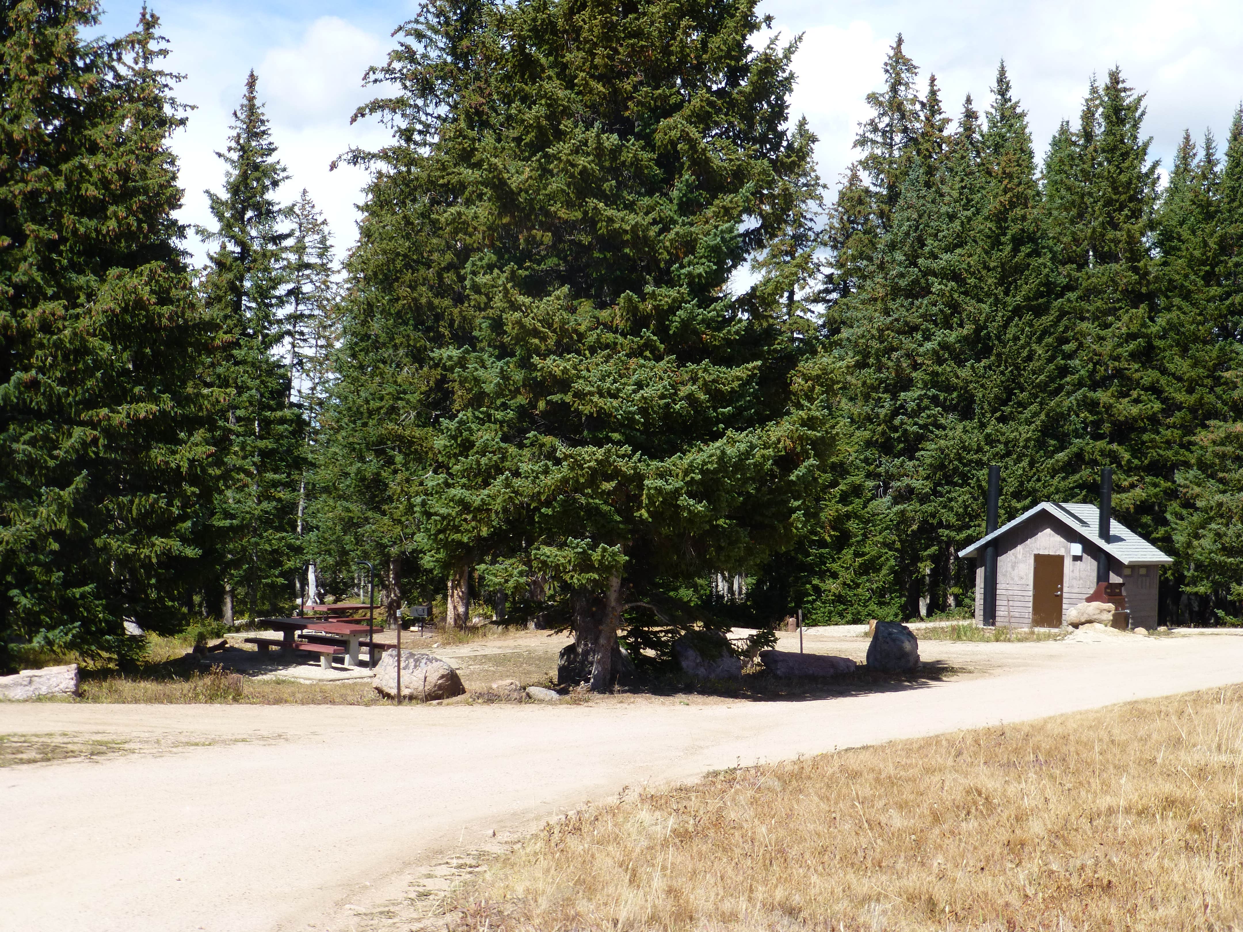 Camper submitted image from Bald Mountain Campground - 2