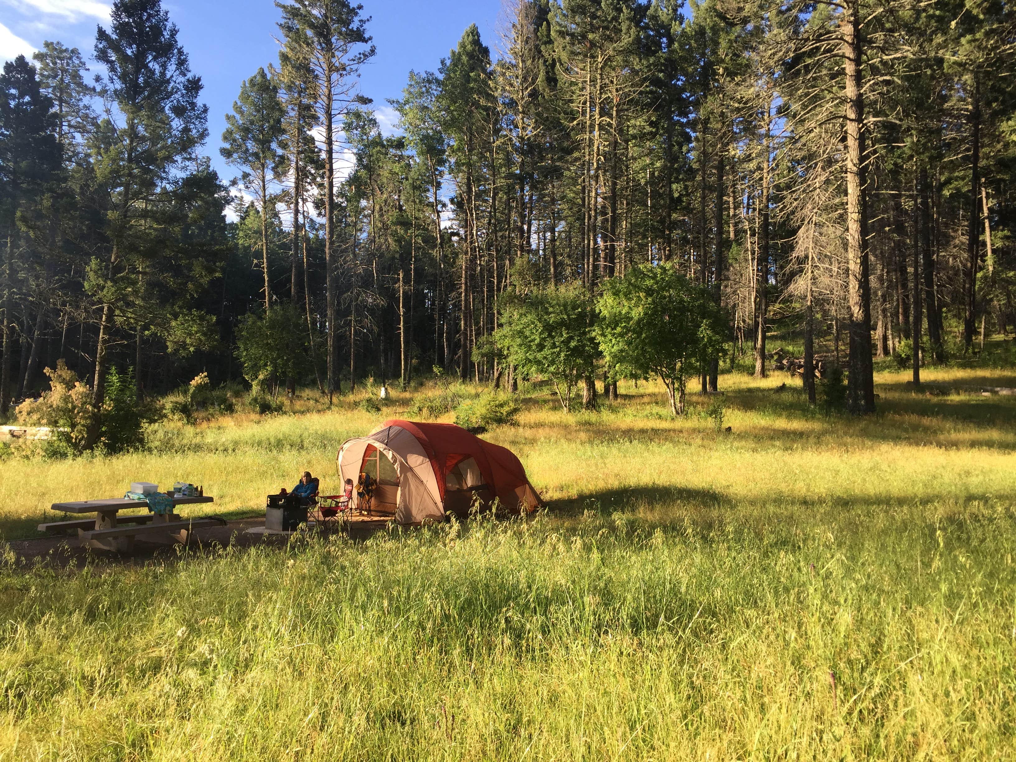 Camper submitted image from Slide Group Area Campground - 2