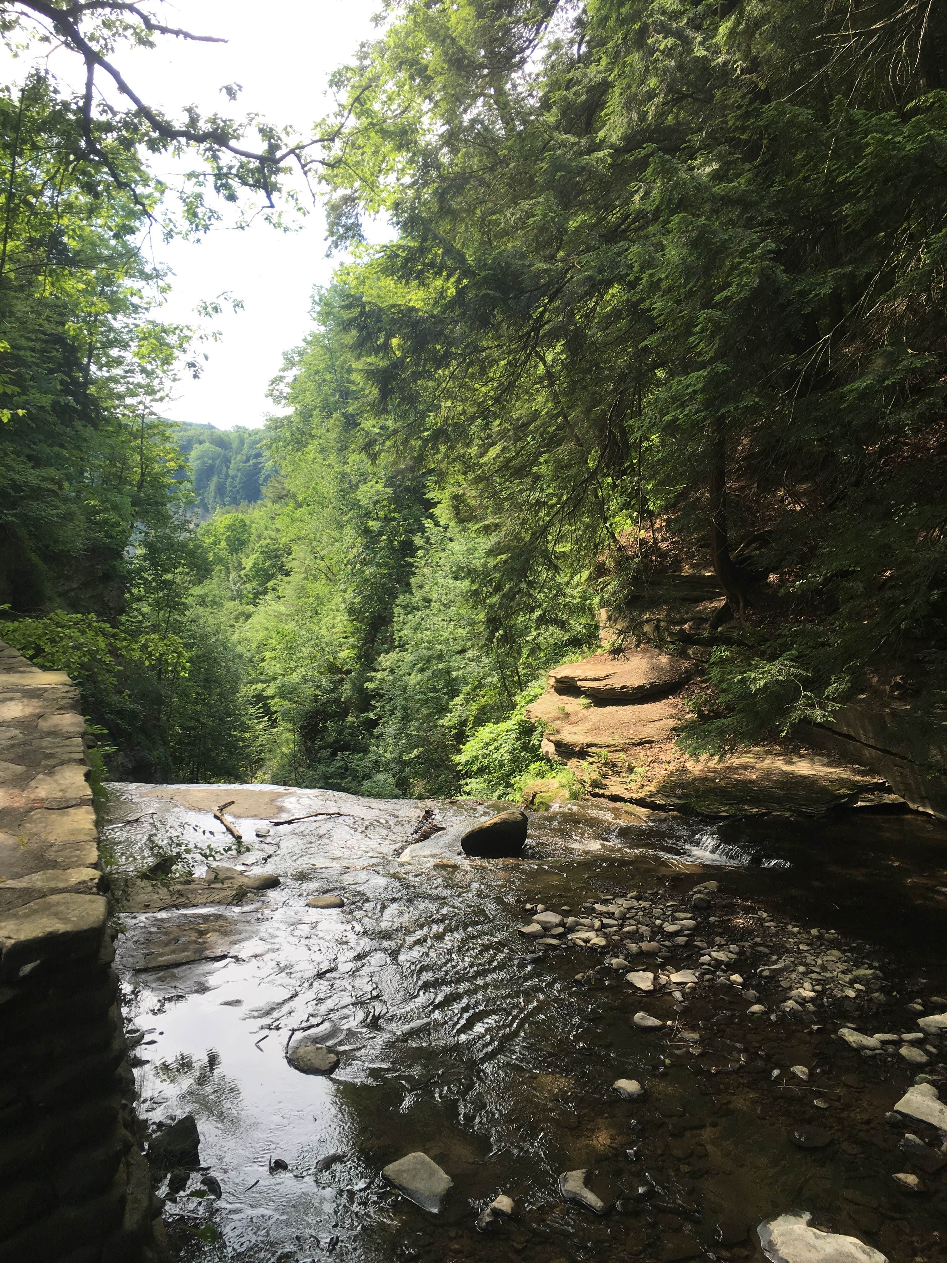 Camper submitted image from Letchworth State Park Campground - 3