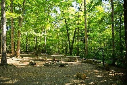 Camper submitted image from Uwharrie National Forest Badin Lake Group Camp - 1