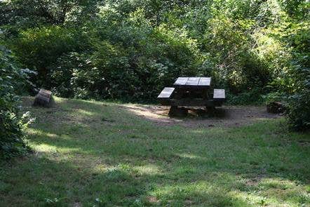 Camper submitted image from Siuslaw National Forest Canal Creek Group Campground - 1