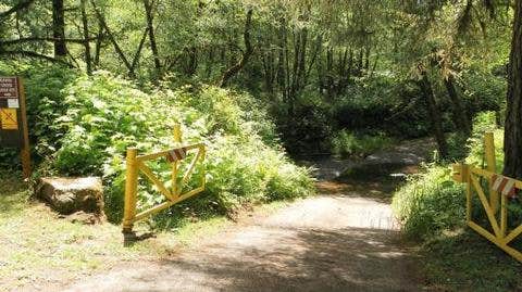 Camper submitted image from Siuslaw National Forest Canal Creek Group Campground - 4