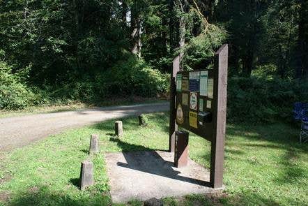 Camper submitted image from Siuslaw National Forest Canal Creek Group Campground - 2