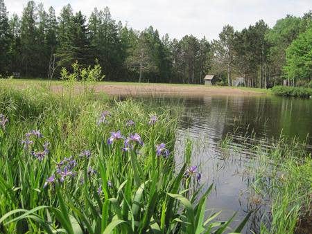 Camper submitted image from Newman Lake Shelter - 2