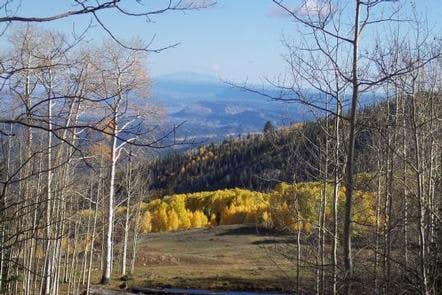 Camper submitted image from Dixie National Forest Barker Recreation Area - 2