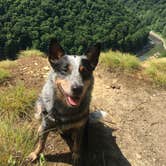 Review photo of Letchworth State Park Campground by Molly G., September 8, 2016