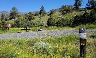 Camping near Clearwater Campground: Rex Hale Campground, Wapiti, Wyoming