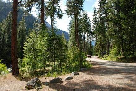 Escape to Idaho's Wilderness: Bridge Creek Campground, Your Gateway to Adventure