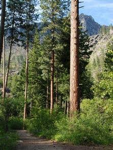 Camper-submitted photo at Bridge Creek Campground near Leavenworth, WA
