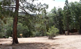 Camping near Horse Springs Campground: Fishermans Group Campground, Green Valley Lake, California